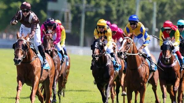 horse-racing-estonia